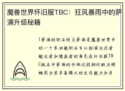 魔兽世界怀旧服TBC：狂风暴雨中的萨满升级秘籍